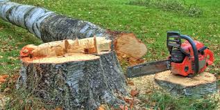 Best Utility Line Clearance  in Mount Ephraim, NJ