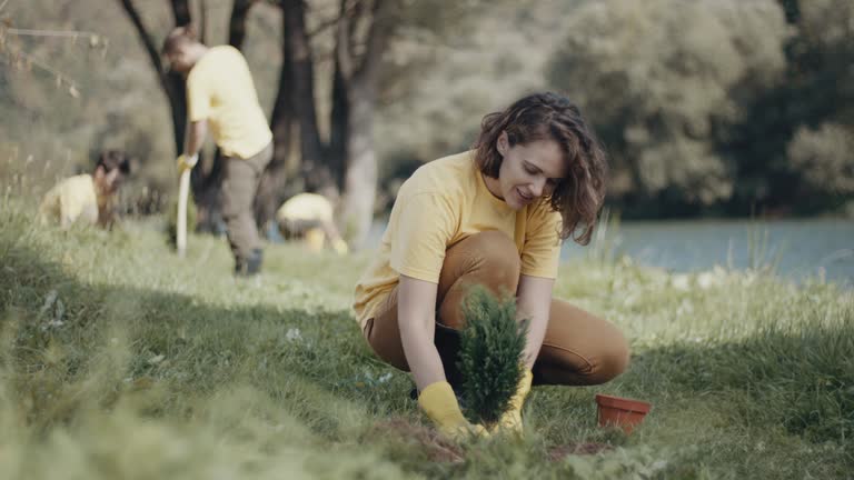 Best Lawn Maintenance Plans  in Mount Ephraim, NJ